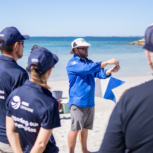 DEVELOPING MARINE RESOURCES SUSTAINABLY WITH SEEDS FOR SNAPPER