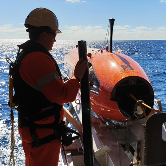 Autonomous Underwater Surveys